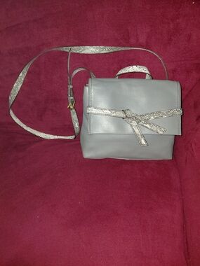 Fossil Gray Crossbody with Metallic Strap Accent